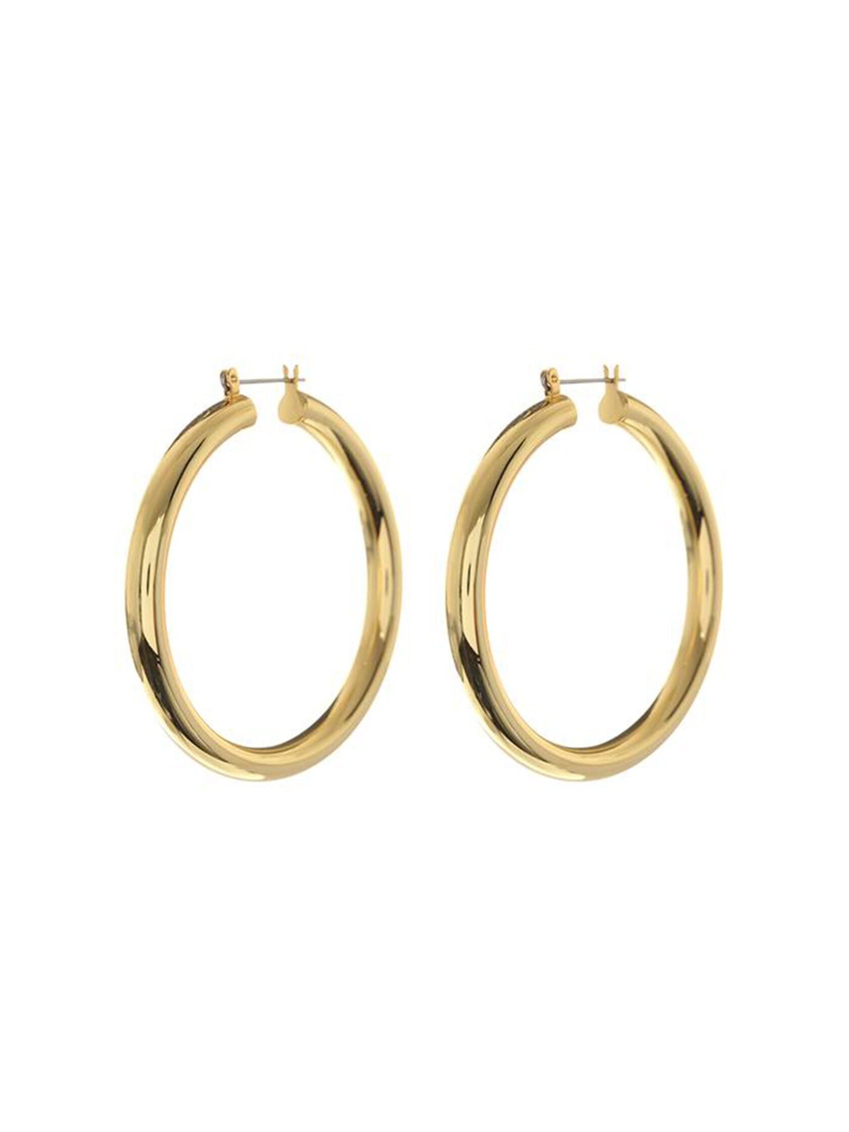 Luv Aj | Amalfi Tube Hoops in Gold| FashionPass