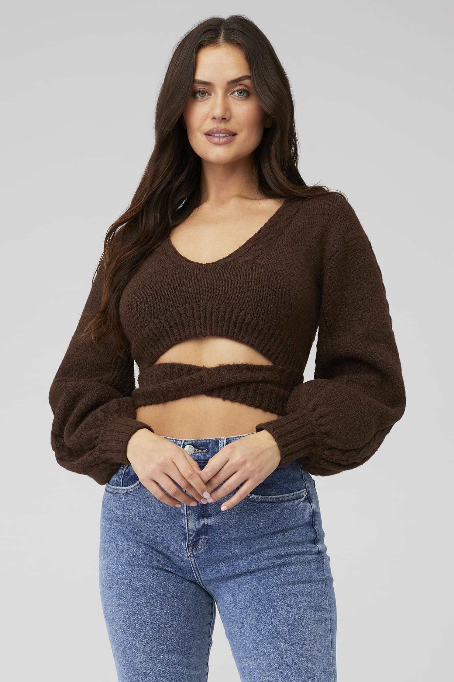 https://images.fashionpass.com/products/amelia-crop-sweater-for-love-and-lemons-brown-84c-1.jpg?profile=a