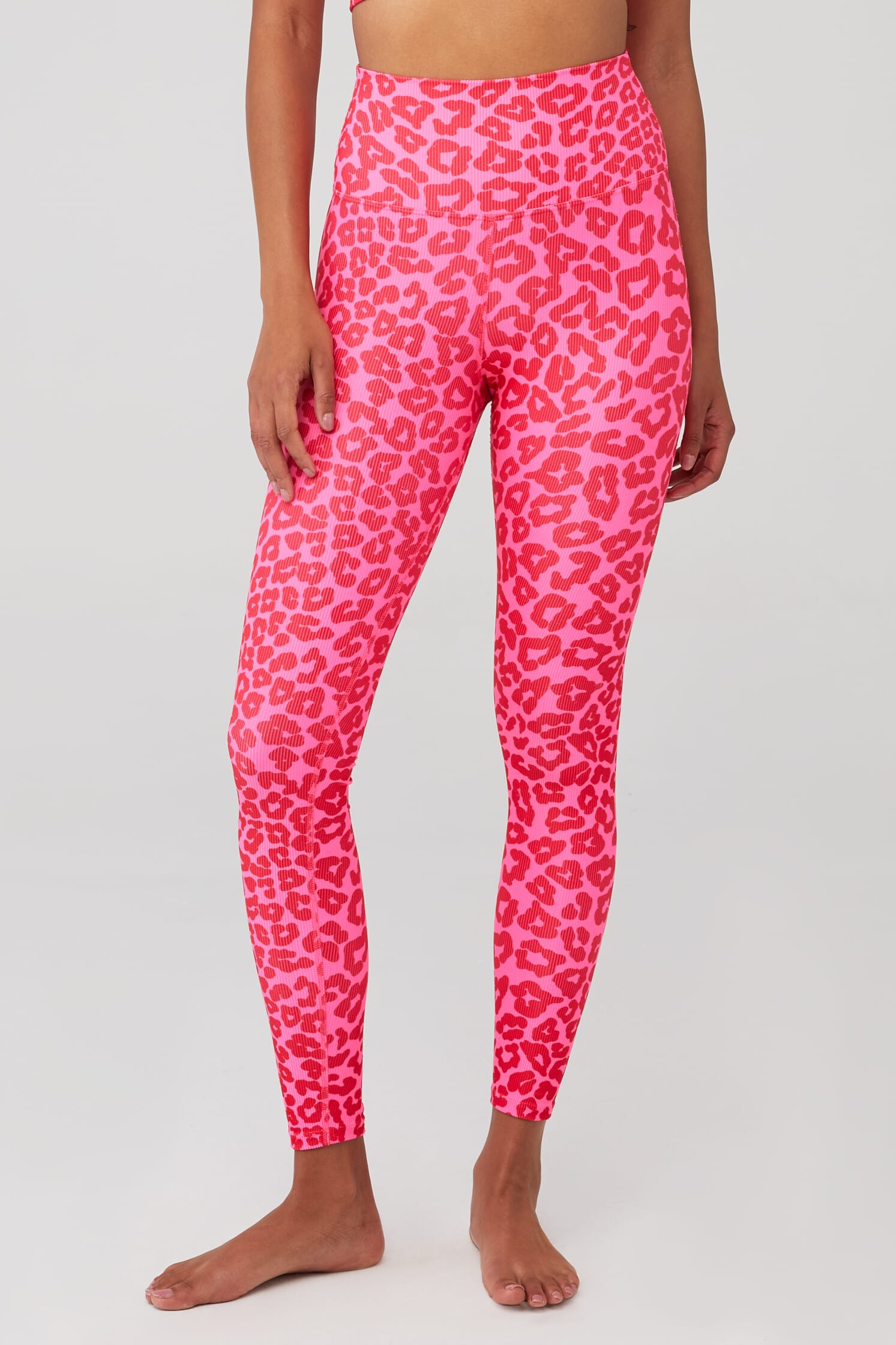 https://images.fashionpass.com/products/ayla-legging-beach-riot-love-leopard-552-1.jpg?profile=a