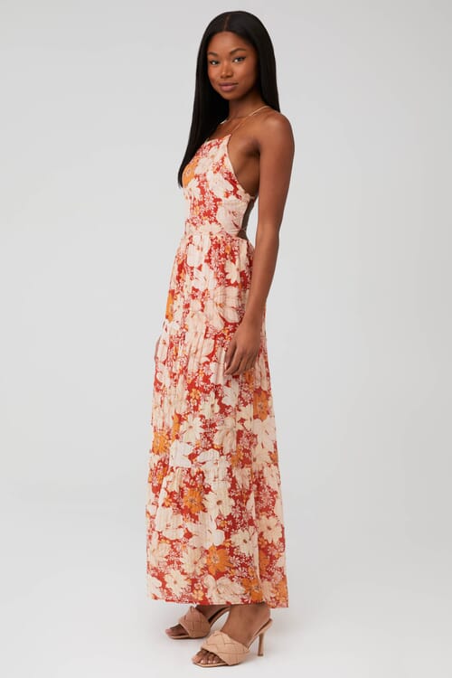 MINKPINK | Azar Open Back Maxi Dress in Multi| FashionPass