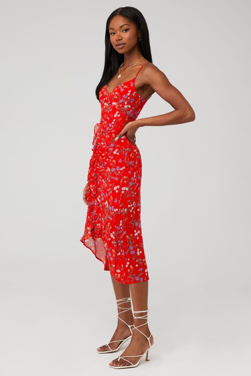 RAYS FOR DAYS Clementine Dress in Rougue Bouquet FashionPass