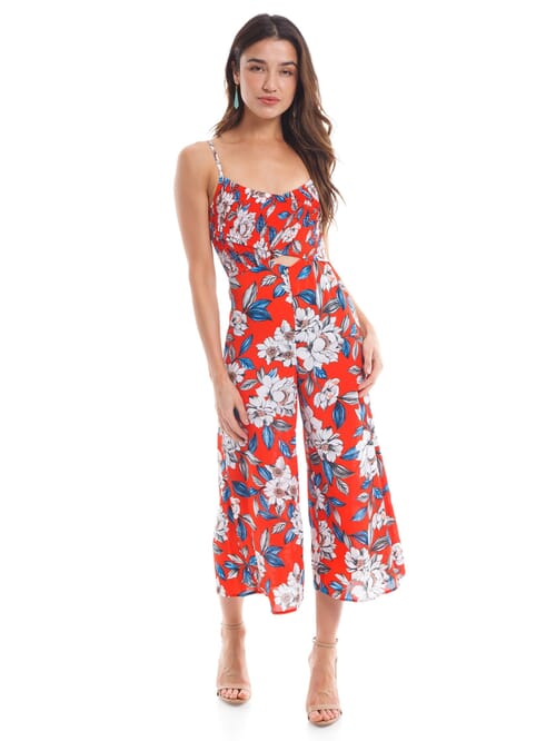 Ali and store jay floral jumpsuit