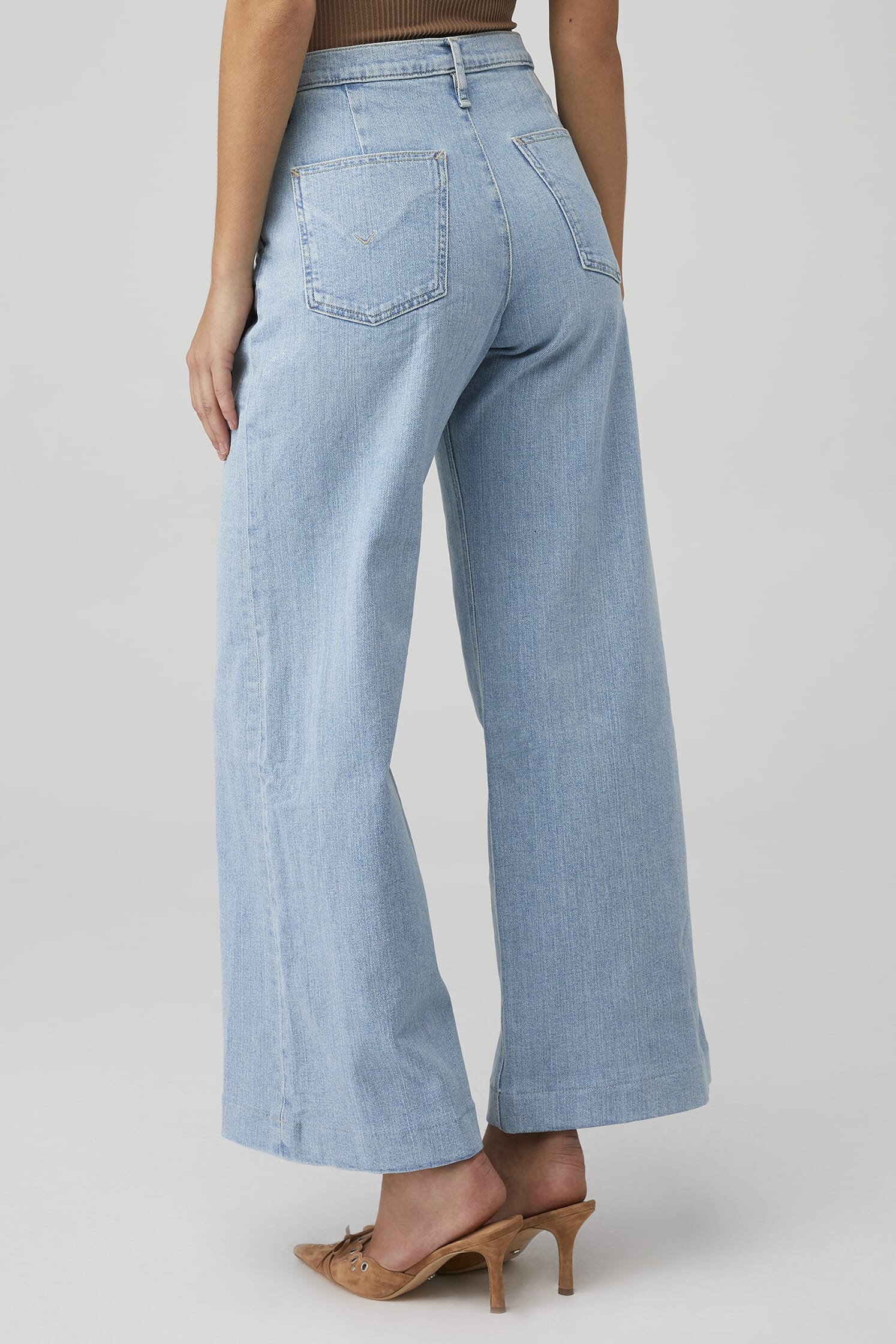 Hudson Jeans | Jodie Pleated Front Yoke Wide Leg Jean in Carousel 