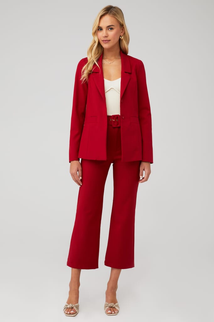 Show Me Your Mumu | Major Blazer in Red Suiting| FashionPass