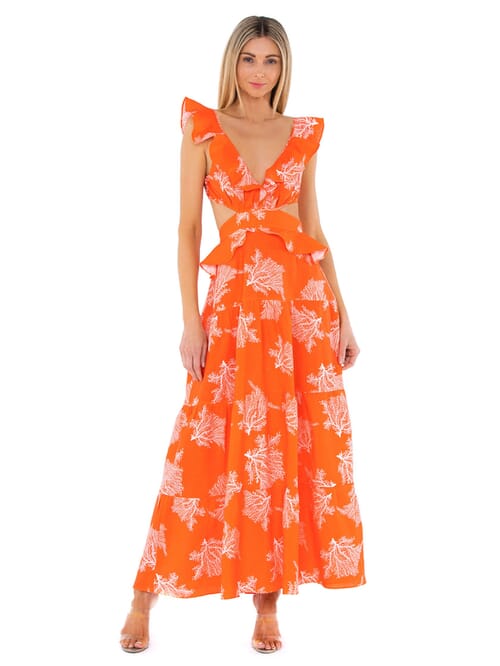 Fabien fashion print maxi dress