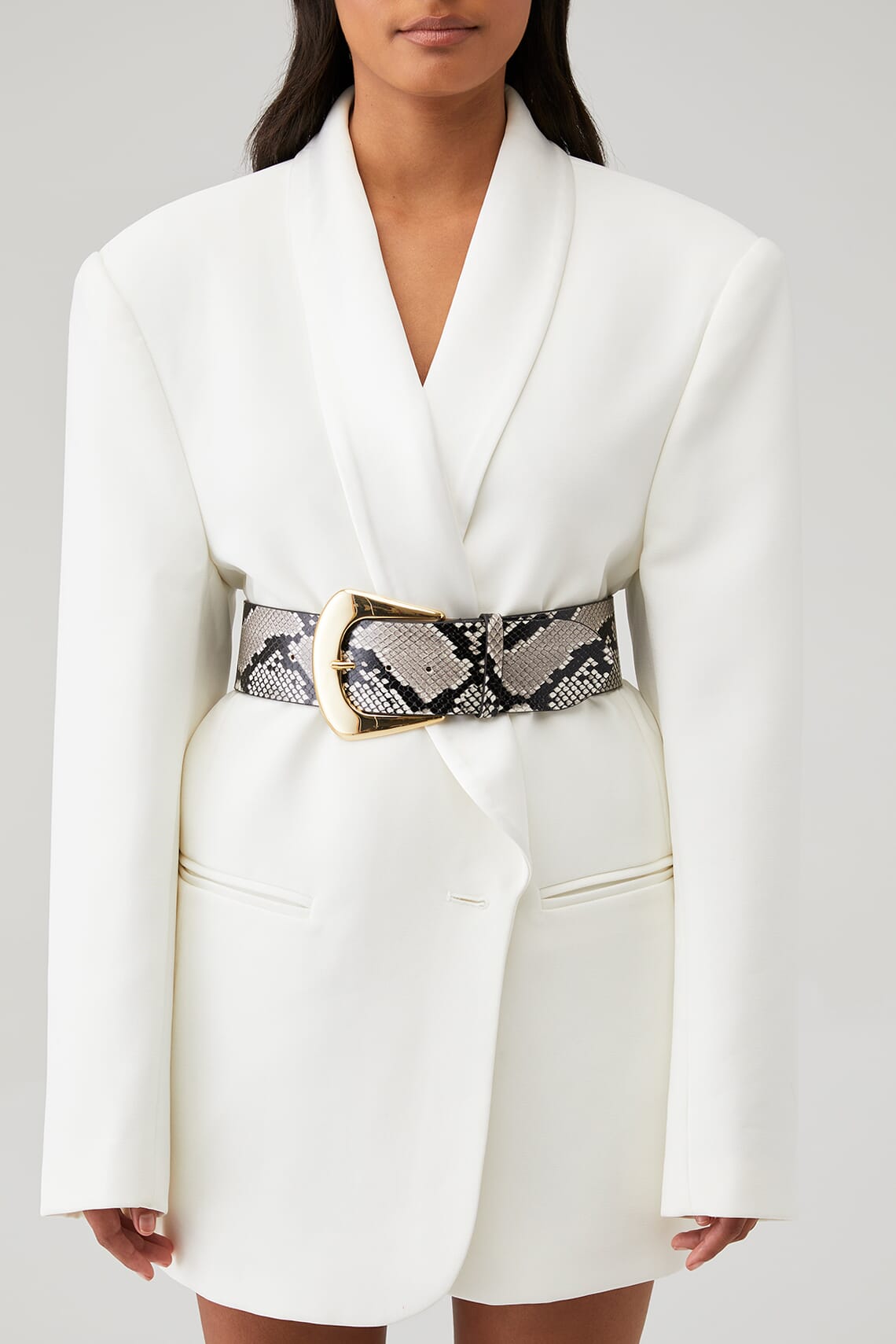 B-Low the Belt | Matilda Belt in Python| FashionPass display picture 1