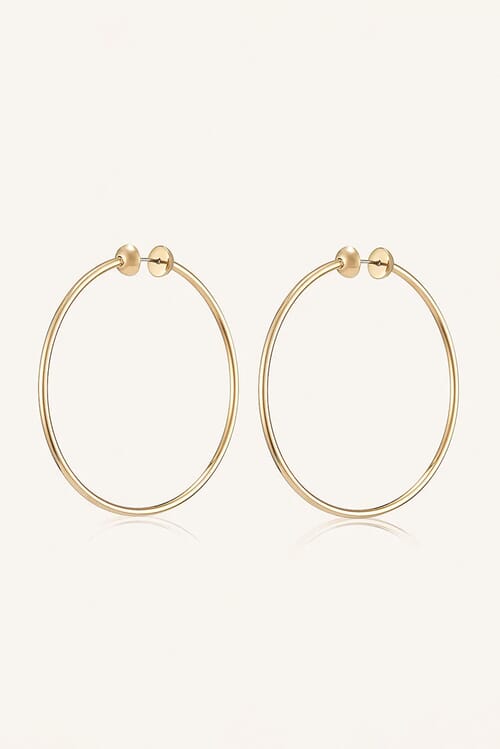 Jenny bird deals icon hoops medium