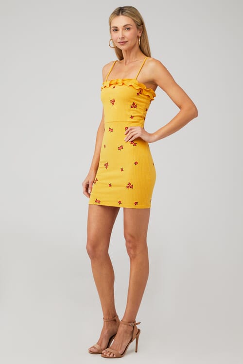 SUNSET DANCER MINI DRESS