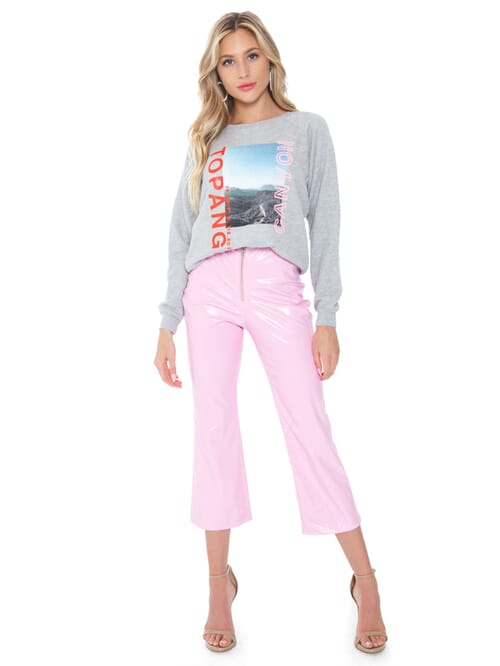 Wildfox logan clearance sweater